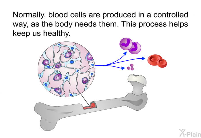 Normally, blood cells are produced in a controlled way, as the body needs them. This process helps keep us healthy.