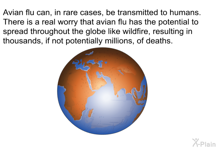 Avian flu can, in rare cases, be transmitted to humans. There is a real worry that avian flu has the potential to spread throughout the globe like wildfire, resulting in thousands, if not potentially millions, of deaths.