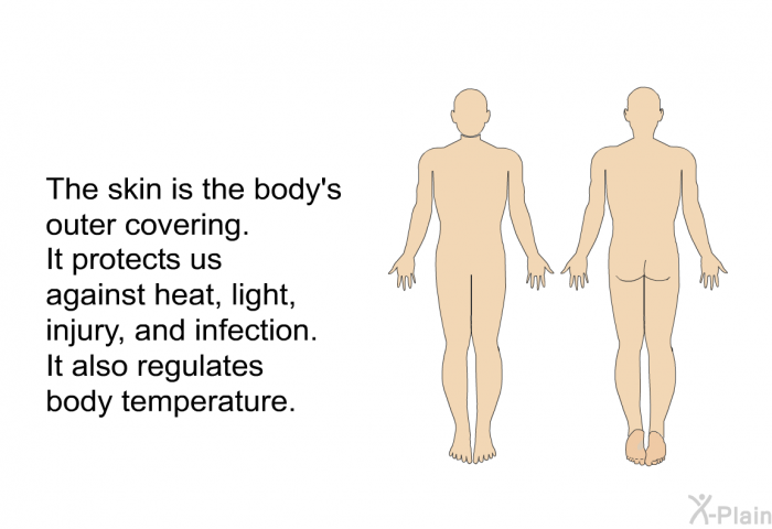 The skin is the body's outer covering. It protects us against heat, light, injury and infection. It also regulates body temperature.