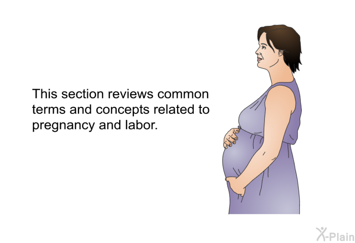 This section reviews common terms and concepts related to pregnancy and labor.