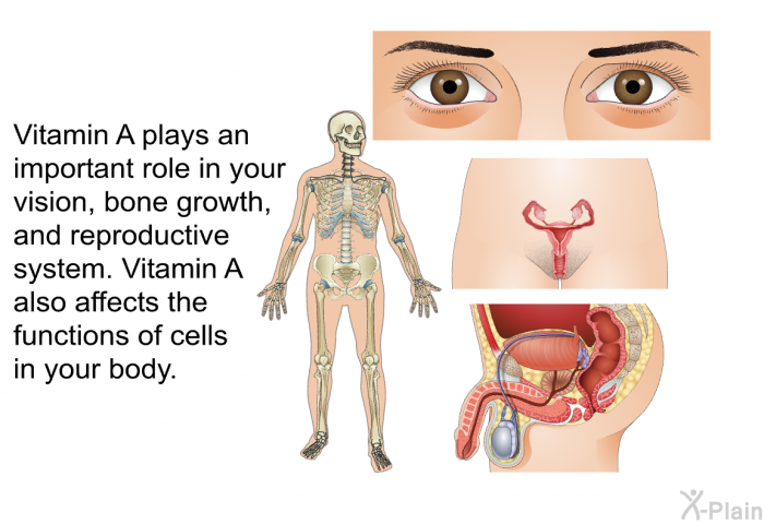 Vitamin A plays an important role in your vision, bone growth, and reproductive system. Vitamin A also affects the functions of cells in your body.