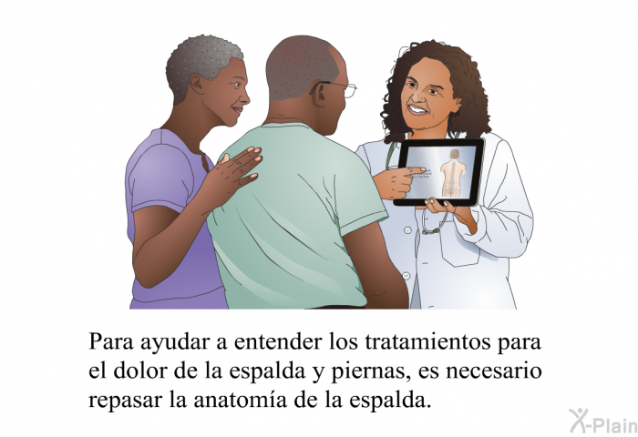 Para ayudar a entender los tratamientos para el dolor de la espalda y piernas, es necesario repasar la anatoma de la espalda.