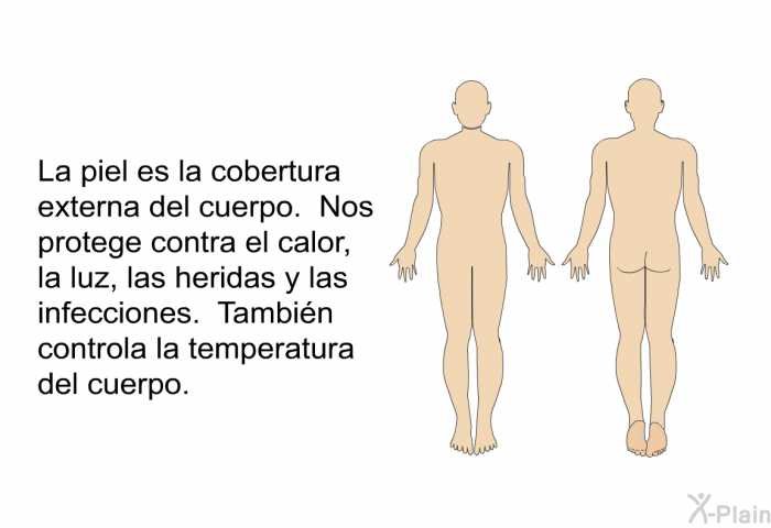 La piel es la cobertura externa del cuerpo. Nos protege contra el calor, la luz, las heridas y las infecciones. Tambin controla la temperatura del cuerpo.