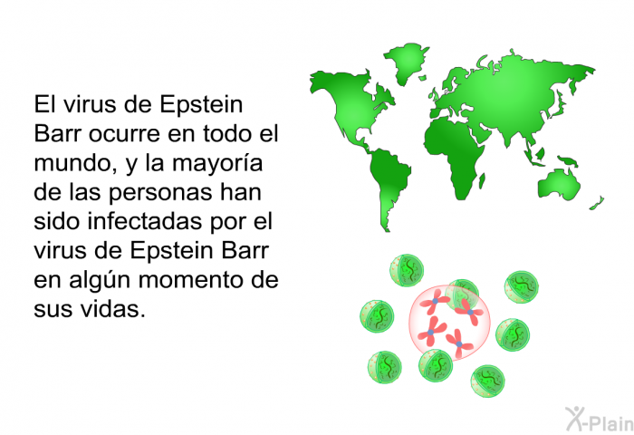 El virus de Epstein Barr ocurre en todo el mundo, y la mayora de las personas han sido infectadas por el virus de Epstein Barr en algn momento de sus vidas.