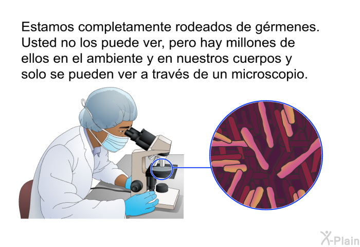 Estamos completamente rodeados de grmenes. Usted no los puede ver, pero hay millones de ellos en el ambiente y en nuestros cuerpos y solo se pueden ver a travs de un microscopio.