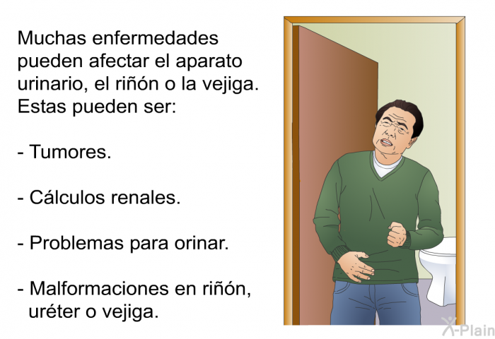 Muchas enfermedades pueden afectar el aparato urinario, el rin o la vejiga. Estas pueden ser:  Tumores. Clculos renales. Problemas para orinar. Malformaciones en rin, urter o vejiga.