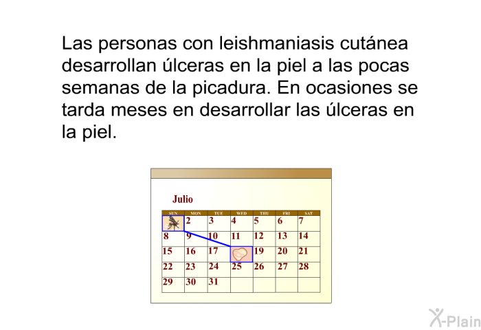 Las personas con leishmaniasis cutnea desarrollan lceras en la piel a las pocas semanas de la picadura. En ocasiones se tarda meses en desarrollar las lceras en la piel.