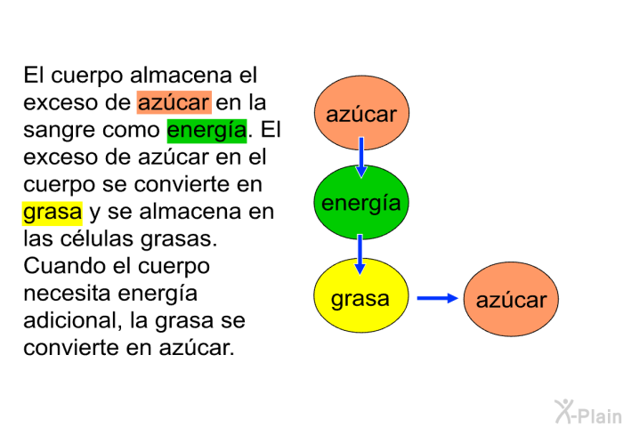 El cuerpo almacena el exceso de azcar en la sangre como energa. El exceso de azcar en el cuerpo se convierte en grasa y se almacena en las clulas grasas. Cuando el cuerpo necesita energa adicional, la grasa se convierte en azcar.