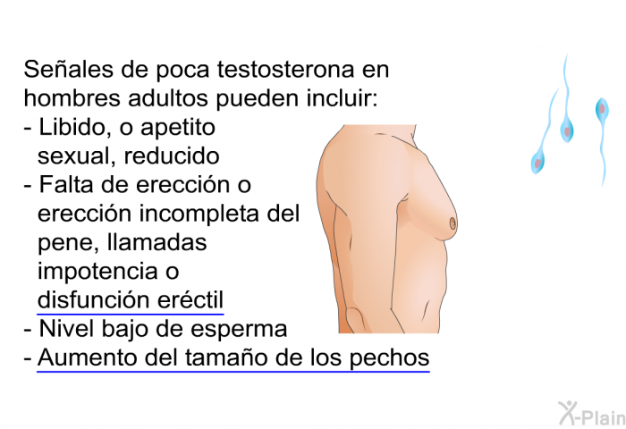 Seales de poca testosterona en hombres adultos pueden incluir:  Libido, o apetito sexual, reducido Falta de ereccin o ereccin incompleta del pene, llamadas impotencia o disfuncin erctil) Nivel bajo de esperma Aumento del tamao de los pechos