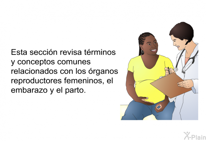 Esta seccin revisa trminos y conceptos comunes relacionados con los rganos reproductores femeninos, el embarazo y el parto.