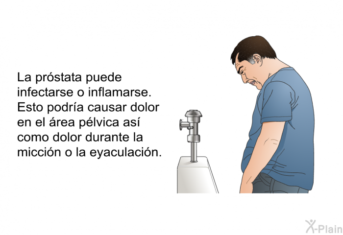 La prstata puede infectarse o inflamarse. Esto podra causar dolor en el rea plvica as como dolor durante la miccin o la eyaculacin.