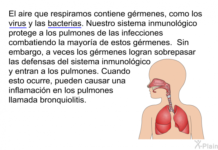 El aire que respiramos contiene grmenes, como los virus y las bacterias. Nuestro sistema inmunolgico protege a los pulmones de las infecciones combatiendo la mayora de estos grmenes. Sin embargo, a veces los grmenes logran sobrepasar las defensas del sistema inmunolgico y entran a los pulmones. Cuando esto ocurre, pueden causar una inflamacin en los pulmones llamada bronquiolitis.